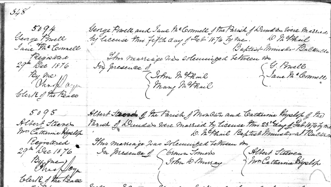Albert and Catherine Steeves 1876 Marriage Record