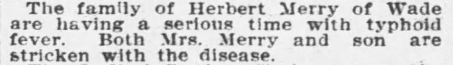 Bangor Daily News - 16 Nov 1906