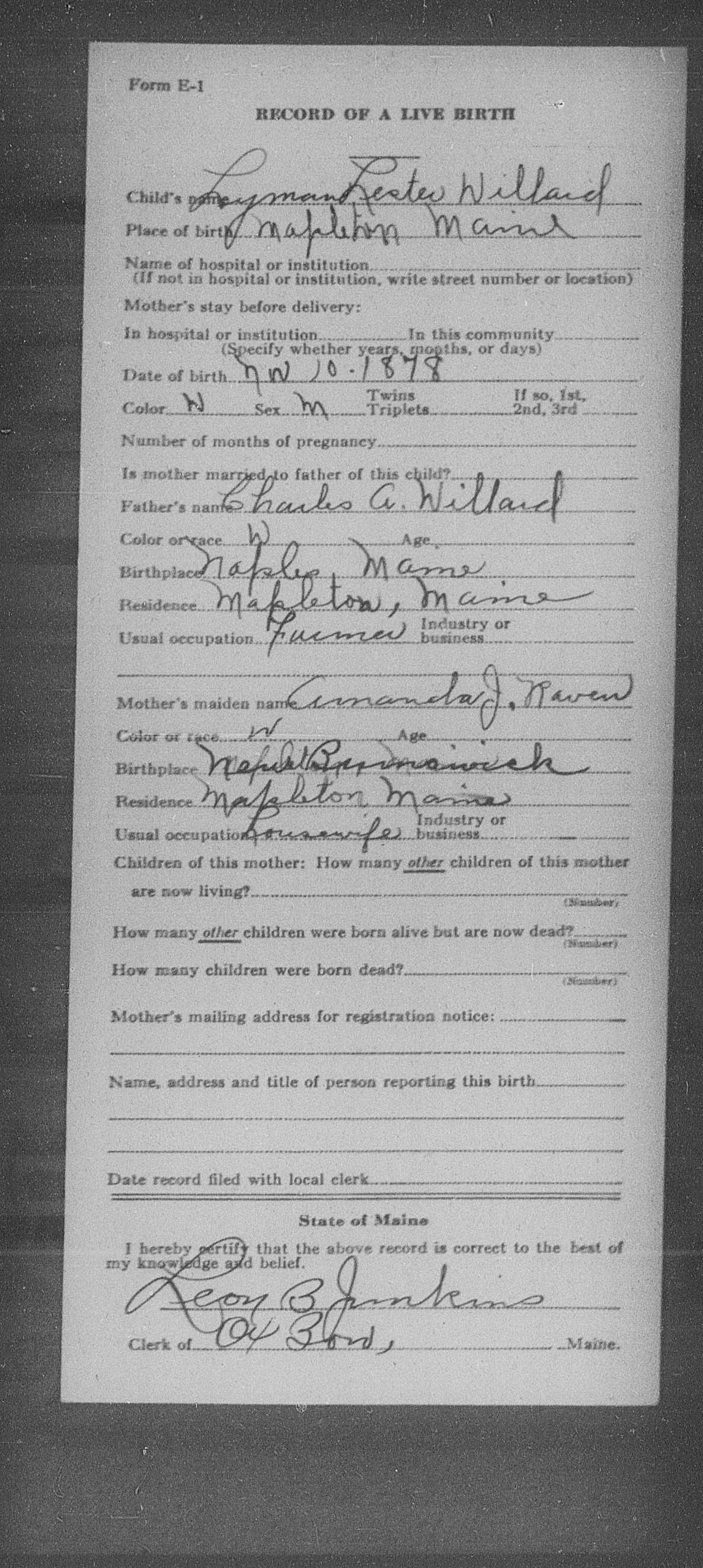 Lyman Lester Willard's 1878 Birth Record