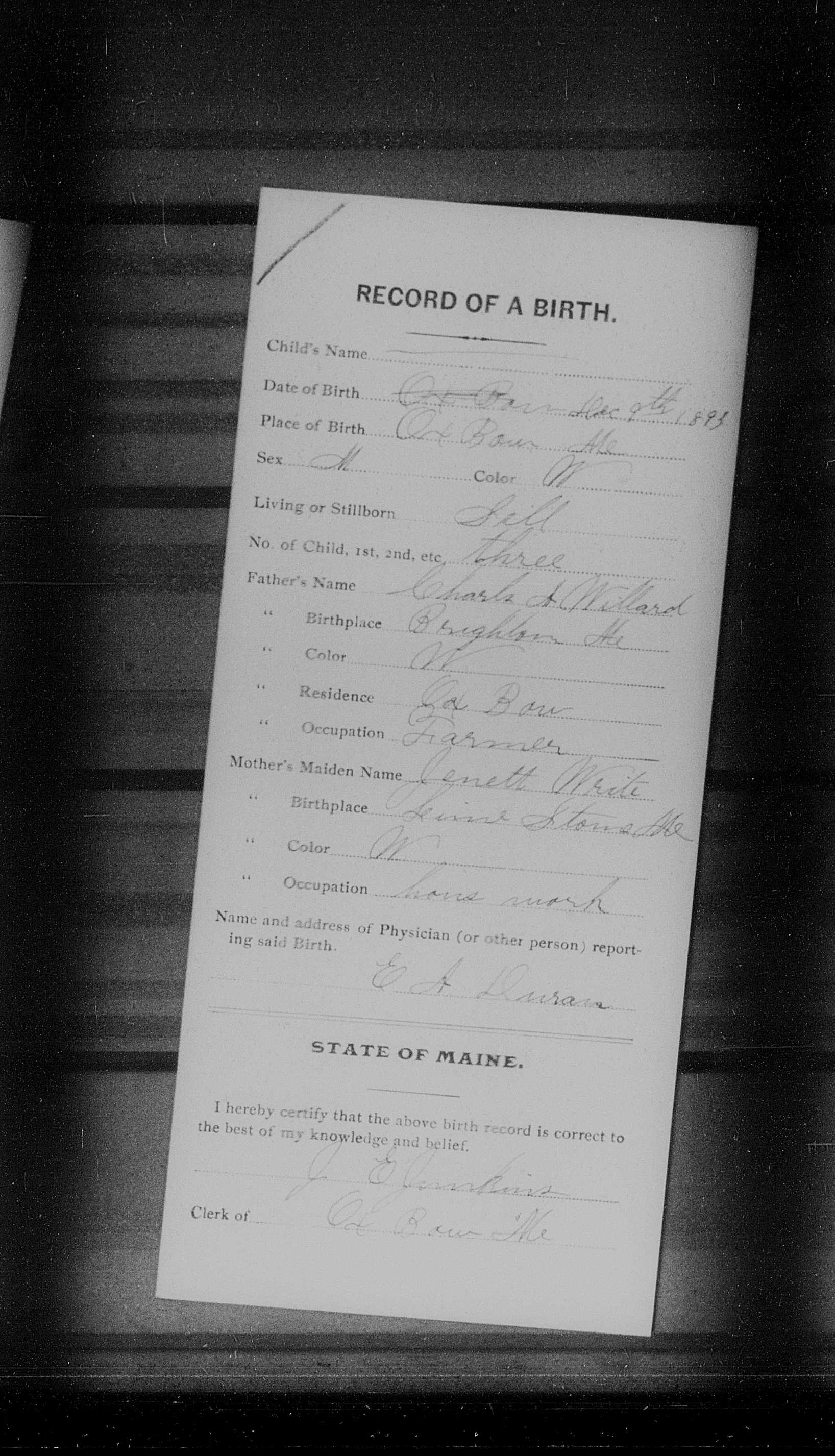 Baby Willard - 1893 Birth Record